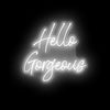 Hello Gorgeous- LED Neon Sign